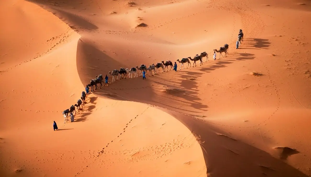 Ababda and Bishari nomads of Bir Tawil and Marianne Station 1